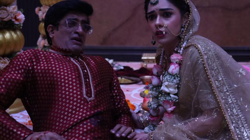 एक खूनी शादी के साथ अपने अब तक के सबसे डरावने चैप्टर के साथ आया कलर्स का नागिन