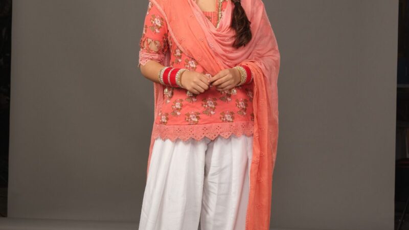 कलर्स के स्टार्स ने मनाई लोहड़ी और मकरसंक्रांति, जगमगा उठा त्योहारों का माहौल