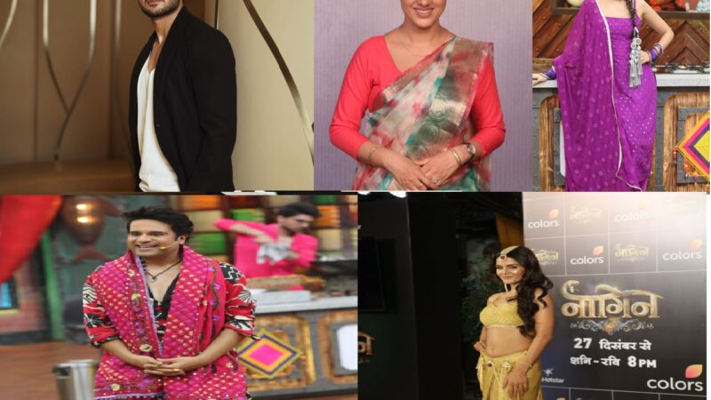 शान से लहराया तिरंगा: कलर्स के सितारों ने साझा किए दिल छू लेने वाले गणतंत्र दिवस संदेश