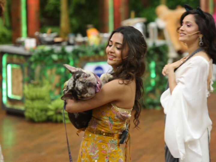 कलर्स के ‘लाफ्टर शेफ़्स अनलिमिटेड एंटरटेनमेंट’ में वाइल्ड कुकिंग के जंगल में आपका स्वागत है!